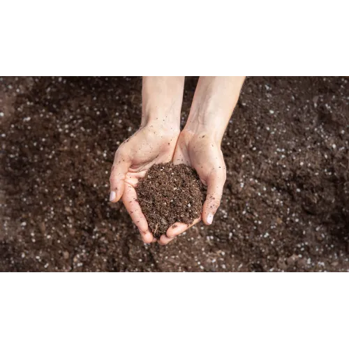 Bazodo Enriched Potting Mix  Ready To Plant - 50kg (Vermi + Coco Pith + Red Soil +Cow dung+ Neem cake + Bio Fertilizers)