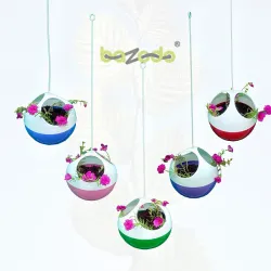 Plastic Hanging Ball Pot Planter combo - 5 Pieces(Red, Violet, Pink, Green, Blue)