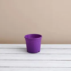 Round 4 inch Plastic Pot for Succulents , Cactus , Rooting -Violet Colour