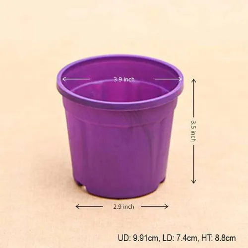 Round 4 inch Plastic Pot for Succulents , Cactus , Rooting -Violet Colour