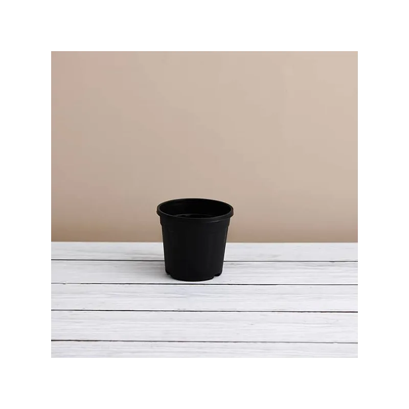 Round 4 inch Plastic Pot for Succulents , Cactus , Rooting -Black Colour