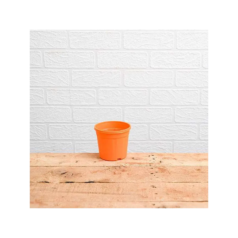 Round 4 inch Plastic Pot for Succulents , Cactus , Rooting - Orange Colour