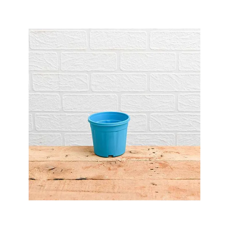 Round 4 inch Plastic Pot for Succulents , Cactus , Rooting - Sky Blue Colour