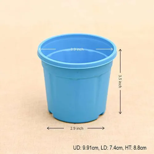 Round 4 inch Plastic Pot for Succulents , Cactus , Rooting - Sky Blue Colour