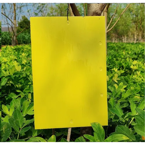 Yellow Sticky Trap for Insect in Garden & Farm, Glue Trap/Fly Trap/Insect Catcher - Pack (5 Traps)