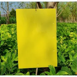 Yellow Sticky Trap for Insect in Garden & Farm, Glue Trap/Fly Trap/Insect Catcher - Pack (5 Traps)