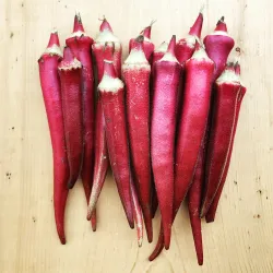 Red Okra (Red Ladies Finger) Long - Hybrid Seeds