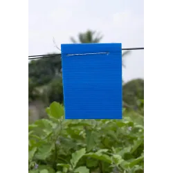 Blue Sticky Trap for Insect in Garden & Farm, Glue Trap/Fly Trap/Insect Catcher - Pack (5 Traps)