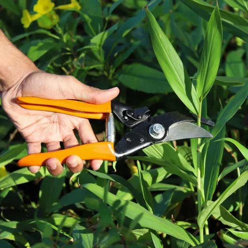 Bazodo Major Cut Pruning Scissor For Home Gardening