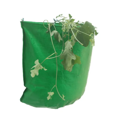 HDPE 220 GSM Vertical Hanging Grow Bag - (12 x 12 x 06 Inches ) - With Nylon 3 MM Rope