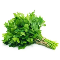 Parsley Seeds - Herbs