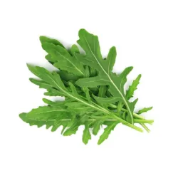 Wild Rocket (Arugula) Herb Seeds | Grow Your Own Arugula at Home