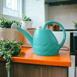 2 Litre Watering Can - Virgin HD Material