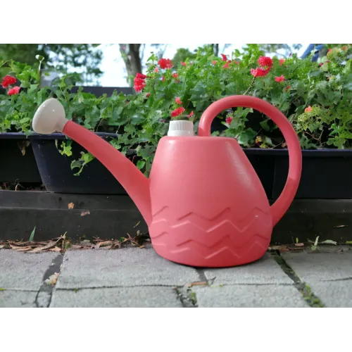 2 Litre Watering Can - Virgin HD Material