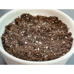 Seed Starting Mix - Germination Pot Mix - 1000 Grams Pack