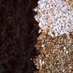 Seed Starting Mix - Germination Pot Mix - 1000 Grams Pack