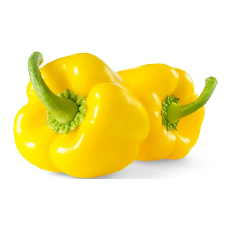 Capsicum (Yellow Colour) - Seeds Packet