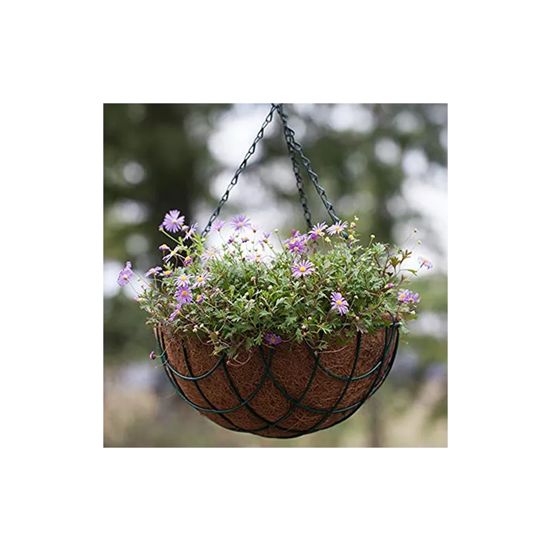 Bazodo 10 Inch Coir Hanging Pot basic with Hanging chain and Liner