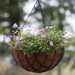 Bazodo 10 Inch Coir Hanging Pot basic with Hanging chain and Liner