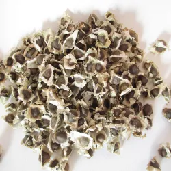 Moringa Seeds - Chedi Murungai(Drumstick)