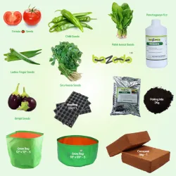 Bazodo Smart Combo Gardening Kit - Kitchen/Balcony/Terrace Gardning