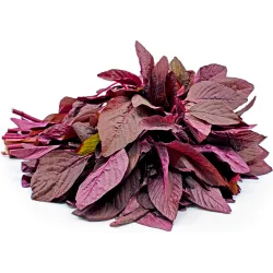 Red Amaranthus Spinach Seeds