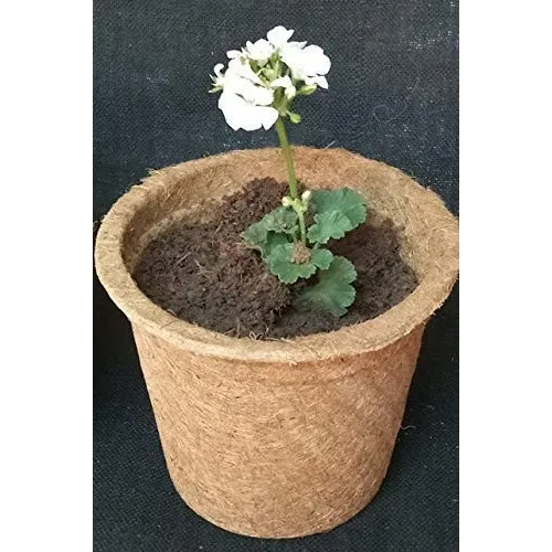 Bazodo 8 Inch Coir Pot - Eco-Friendly Biodegradable Plant Pot