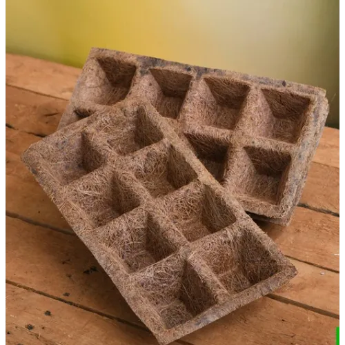 Bazodo Coir Seedling Tray for Seed Germination