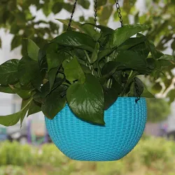 Ultra Model Virgin Plastic Hanging Pot - Blue Color - Bazodo