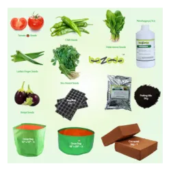 Buy Starter Combo Garden Kits at Bazodo - Best Quality at Affordable Prices