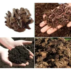 Bulk Supply - Organic Manures