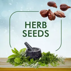 Herbal Seeds